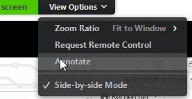 annotate zoom